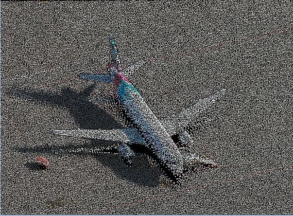 Add Your Heading Text Here